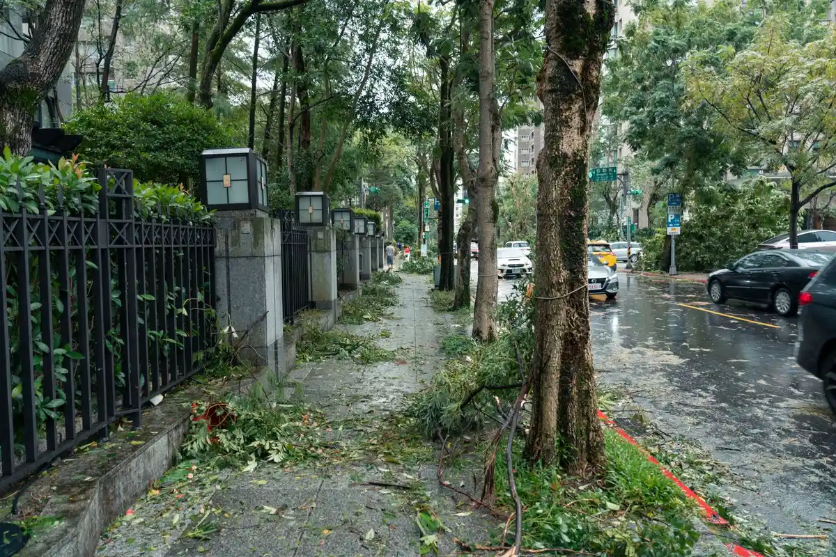 A city street covered with fallen branches and leaves after a storm, with a red car at the curb.
